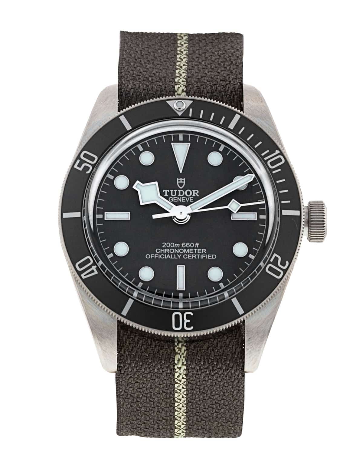 Tudor Black Bay M79010SG-0002